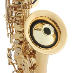 Saxophone Mute