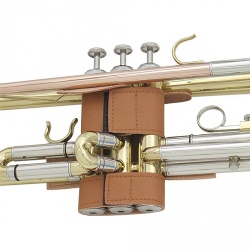 Trumpet Valve Protect